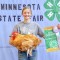 Blazin’ West Stars Club members who earned purple ribbons at the Minnesota State Fair this year include Faith Lagerwall who exhibited her poultry project and earned Purple, Reserve Champion Breeding Pen, 6th Place Advanced Poultry Showperson and 5th Place Senior Poultry Judging Contest