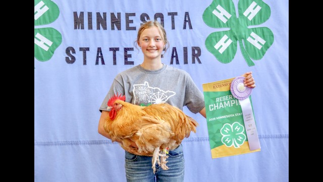 Blazin’ West Stars Club members who earned purple ribbons at the Minnesota State Fair this year include Faith Lagerwall who exhibited her poultry project and earned Purple, Reserve Champion Breeding Pen, 6th Place Advanced Poultry Showperson and 5th Place Senior Poultry Judging Contest